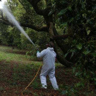 ONU insta a México a crear leyes sobre la gestión de sustancias químicas y plaguicidas peligrosos