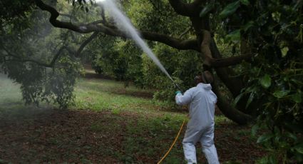 ONU insta a México a crear leyes sobre la gestión de sustancias químicas y plaguicidas peligrosos