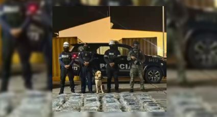 Aseguran en Panamá más de una tonelada de droga en un contenedor con destino a Lituania