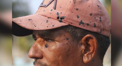 "Está buena la producción de ostión": Javier May minimiza las afectaciones por el derrame en Dos Bocas