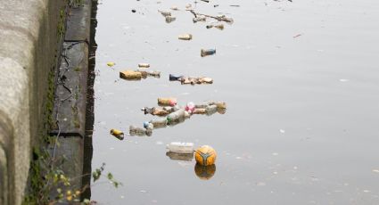 Al menos 3 mil 400 millones de personas no tienen acceso a un saneamiento de calidad: Unesco