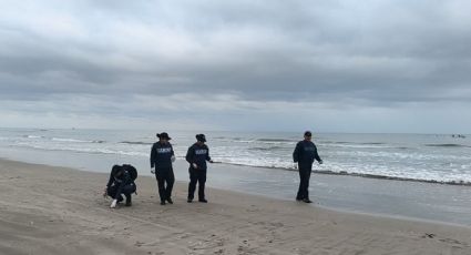 "Sheinbaum muestra indiferencia y Nahle niega todo", acusan pescadores tras derrame de petróleo en Veracruz