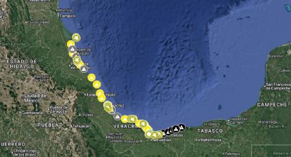 Crean mapa interactivo para rastrear el derrame de hidrocarburo en el Golfo de México; documenta daños a fauna y flora
