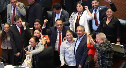 Pasa en el Senado el "plan B" de Sheinbaum con el apoyo de Morena, PT y Partido Verde