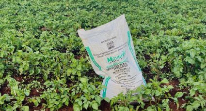 Conflicto en Irán provoca escasez mundial de fertilizantes; amenaza precios de cientos de alimentos