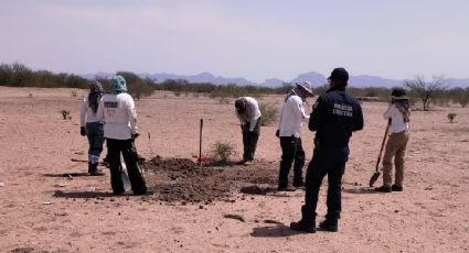 Madres buscadoras encuentran 16 osamentas en Guaymas, Sonora