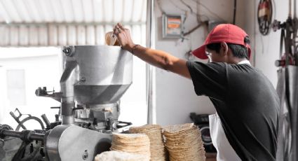 California lidera plan para añadir ácido fólico a las tortillas y reducir defectos congénitos entre latinos de EU