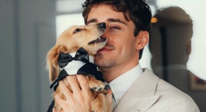 Charles Leclerc, piloto de Ferrari, revela imágenes de su boda: su perro se robó los reflectores por usar un esmoquin