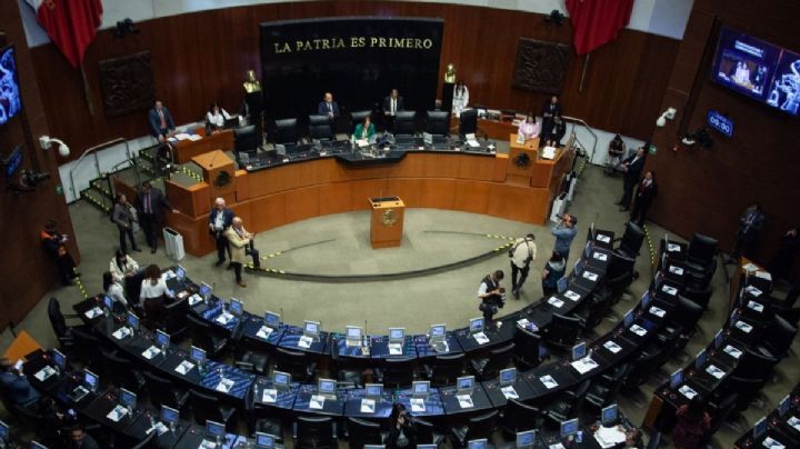 PT y PVEM se alinean con Sheinbaum en el Senado y apoyarán el “plan B” de la reforma electoral