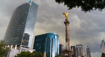 Muere un hombre tras caer desde el piso 21 de un edificio en Paseo de la Reforma