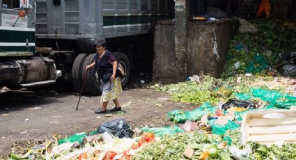 Más de mil millones de toneladas de alimentos son desperdiciadas al año en todo el mundo, alerta la ONU