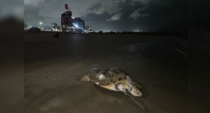 Organizaciones acusan al gobierno de ocultar el derrame en el Golfo de México y apuntan a Pemex