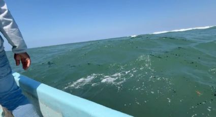 Comunidades indígenas denuncian contaminación por petróleo en playas de Veracruz y Tabasco