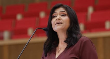 Morenista pide excluir a fiscal de la FGR de la contienda por la ASF por omisión en parque fotovoltaico