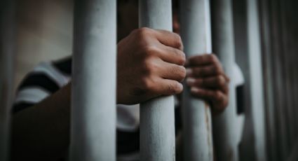 Interpol rescata a más de 60 víctimas de abuso sexual infantil en México, Costa Rica, Panamá y seis países