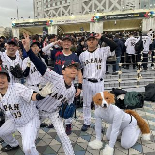 Perro de Ohtani ya tiene imitador: fue sensación en Clásico Mundial