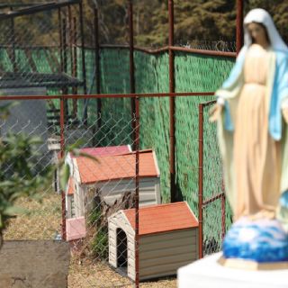 Refugio Franciscano señala intereses económicos detrás del desalojo