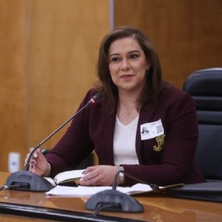 Diputados dejan pasar a magistrada Téllez como candidata  la ASF pese veto por la elección judicial