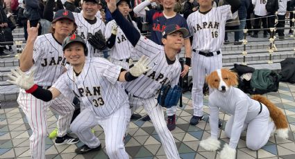 El perro del beisbolista Shohei Ohtani ya tiene imitador: fue la sensación en el Clásico Mundial celebrado en Japón