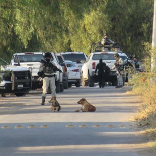 Cae en Guanajuato "La Señora", líder de una célula del Cártel de Santa Rosa de Lima