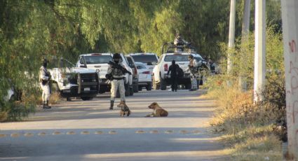 Cae en Guanajuato "La Señora", líder de una célula del Cártel de Santa Rosa de Lima
