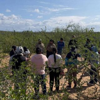 Madres buscadoras localizan cinco fosas clandestinas en Comondú, Baja California Sur