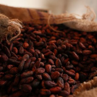 Caída en el precio del cacao en Ghana impulsa el crecimiento de la minería ilegal