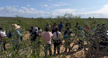 Madres buscadoras localizan cinco fosas clandestinas en Comondú, Baja California Sur