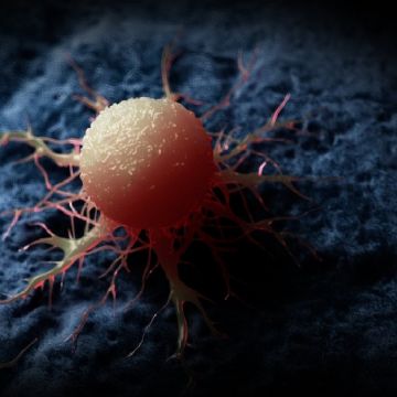 CIA desata polémica por clasificar más de 60 años un artículo ruso con pistas para cura del cáncer