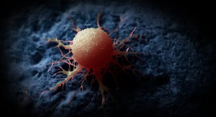 CIA desata polémica por clasificar más de 60 años un artículo ruso con pistas para buscar la cura del cáncer