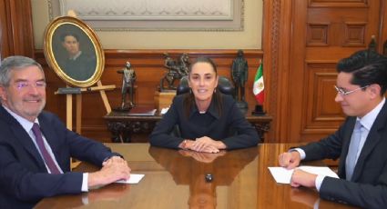 Relevo en la SRE: Sheinbaum nombra a Roberto Velasco en sustitución de Juan Ramón de la Fuente