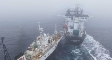 Buque activista choca contra barco pesquero en la Antártida