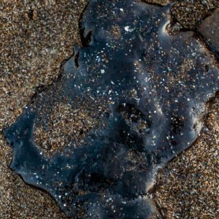 Investigación del derrame del Pemex se extenderá por varias semanas, afirma Rosa Icela Rodríguez