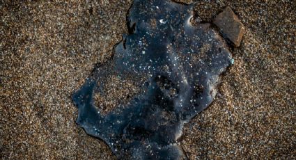 Investigación del derrame del Pemex se extenderá por varias semanas, afirma Rosa Icela Rodríguez