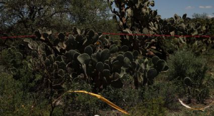 Colectivo de búsqueda halla dos cadáveres y un cráneo en un cerro de Jacona, Michoacán