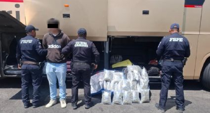 Aseguran más de 23 mil dosis de drogas en dos maletas al interior de un autobús en Guanajuato