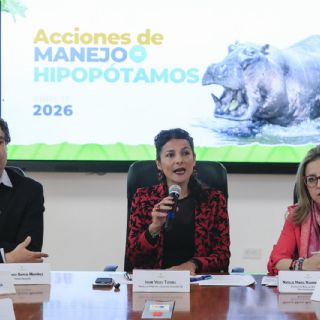 Colombia aplicará eutanasia a unos 80 hipopótamos, descendientes de los que introdujo Pablo Escobar