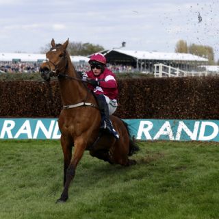 “No sintió nada”: justifican al jinete que obligó a correr con la espalda rota al caballo que murió