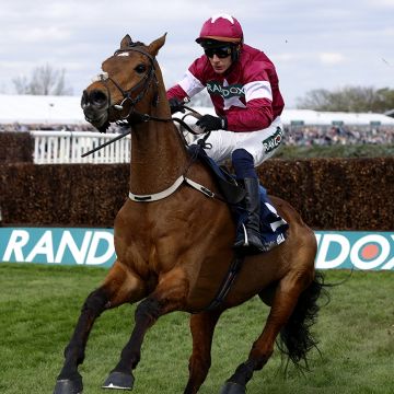 “La gran masacre”: denuncian que han muerto 42 caballos en 2026 tras ser obligados a competir