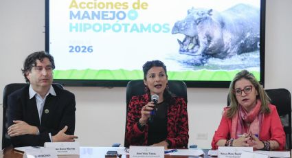 Colombia aplicará eutanasia a unos 80 hipopótamos, descendientes de los que introdujo Pablo Escobar