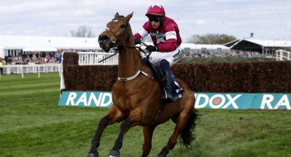 “La gran masacre”: denuncian que han muerto 42 caballos en 2026 tras ser obligados a competir en carreras de obstáculos