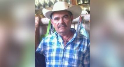 Asesinan en Michoacán a Roberto Chávez, ambientalista y activista contra la tala ilegal de bosques