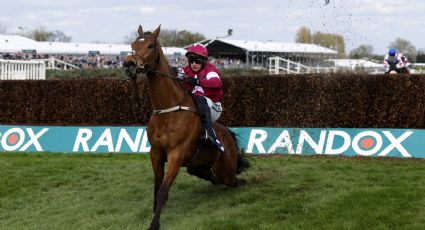 “No sintió nada”: justifican al jinete que obligó a correr con la espalda rota al caballo que murió tras ganar una carrera