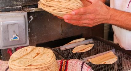 Precio de la tortilla en México podría aumentar hasta cuatro pesos, advierte el Consejo Nacional