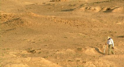 A partir de fósiles de tres humanos y miles de restos reconstruyen ecosistema de hace 100 mil años en Etiopía