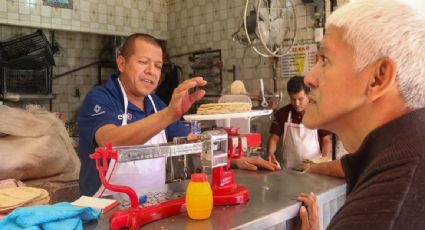 Profeco, Agricultura y productores niegan alza en el precio de la tortilla en el país