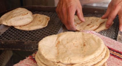 El precio de la tortilla sube por costos, no por el maíz: Grupo Consultor de Mercados Agrícolas