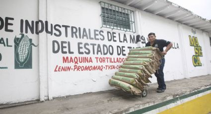 Pese a lo dicho por Sheinbaum, grupo Maseca subirá precios, advierte el sector tortillero