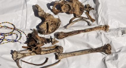 Madres buscadoras desafían las cifras oficiales de desaparecidos del gobierno de Sheinbaum