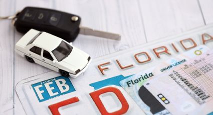 Las licencias de conducir en Florida incluirán el estatus de ciudadanía a partir del próximo año